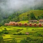 4 homestays in Ha Giang for a trip to see the golden season 0