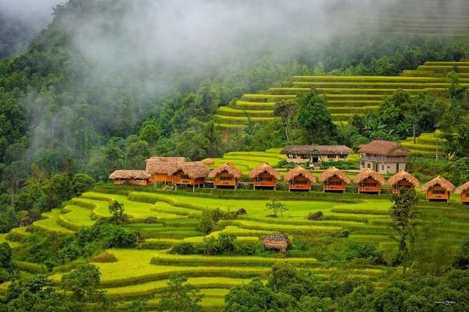 4 homestays in Ha Giang for a trip to see the golden season 0