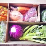 Sell Da Lat vegetables online 4
